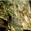 image of Figure 9